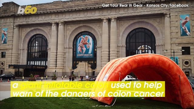 Giant Stolen Colon Recovered as Police Get to the Bottom of Who Took it