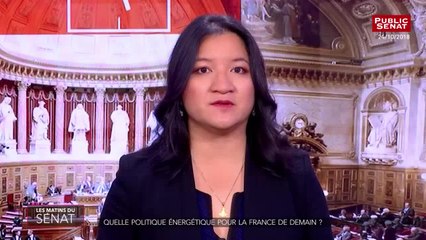 Download Video: Débat sur la scolarisation des enfants en situation de handicap - Les matins du Sénat (30/10/2018)