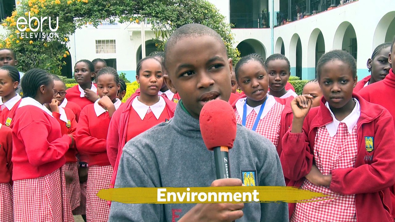 spelling bee: environment