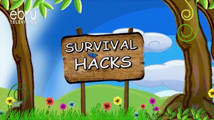 10 Things To Have In Your First Aid Box