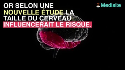 Cancer du cerveau la taille de l'organe influence le risque