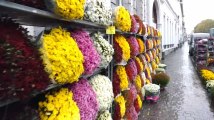 Toussaint: l'impressionnate devanture de chrysanthèmes chez Fleur et Fruits à Tournai