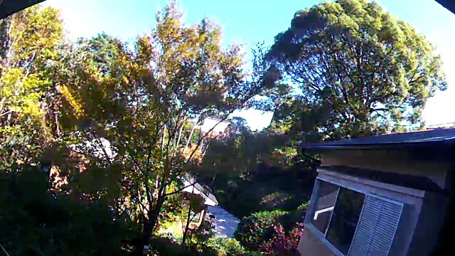 EDR October #29 2018 Noise Campaign helicopter and airplanes