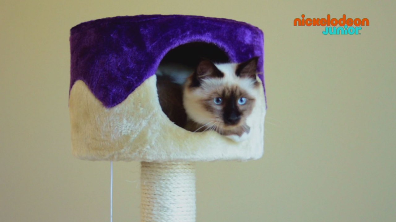 Zoofari | Nids douillets | NICKELODEON JUNIOR