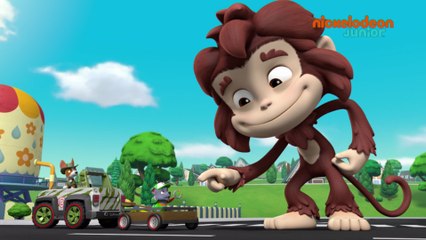 Paw Patrol : la Pat'Patrouille | Primate Patrouille | NICKELODEON JUNIOR
