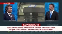 Dolar, Türk lirası karşısında eriyor