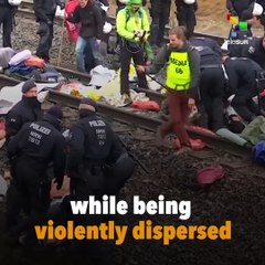Activists Block Train To Protect Forest