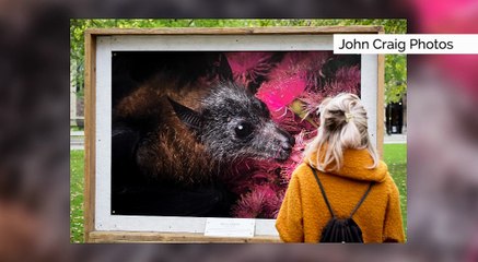 GOODLINES: 31st October 2018