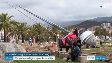 Corse : d'importants dégâts après la tempête