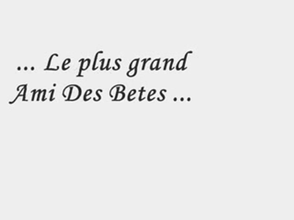 Monfrere