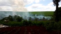 Bombeiros combatem incêndio em vegetação