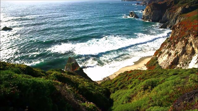 Tangerine Dream - Logos