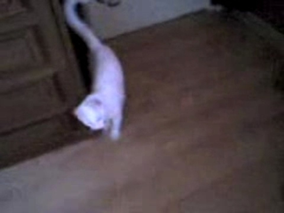 Cesar visite guide