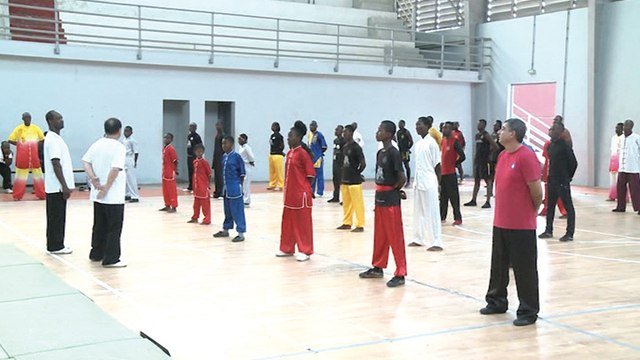 Karaté fête des arts martiaux