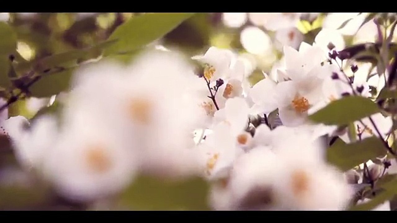 Breathtaking Landscpaes of Residential Apartments in Devanahalli, Bangalore - House Of Hiranandani