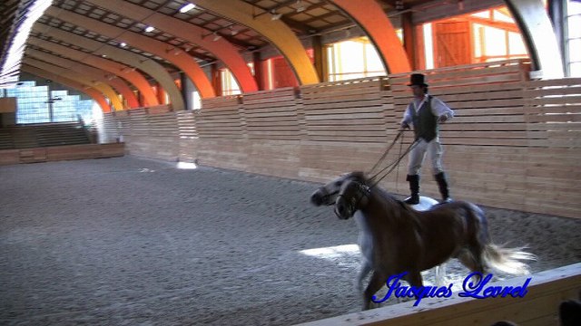 Spectacle Haras National à Lamballe - Bretagne