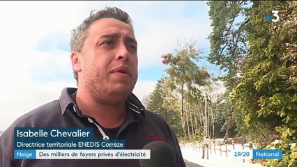 Neige : des millions de foyers sont privés d'électricité