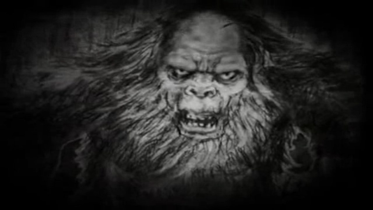 SOUTHERN SASQUATCH