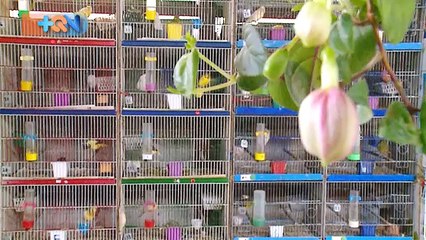 mqn--Vecinos-de-escazú-se-unen-una-vez-al-mes-para-ayudar-a-habitantes-de-la-calle-301018