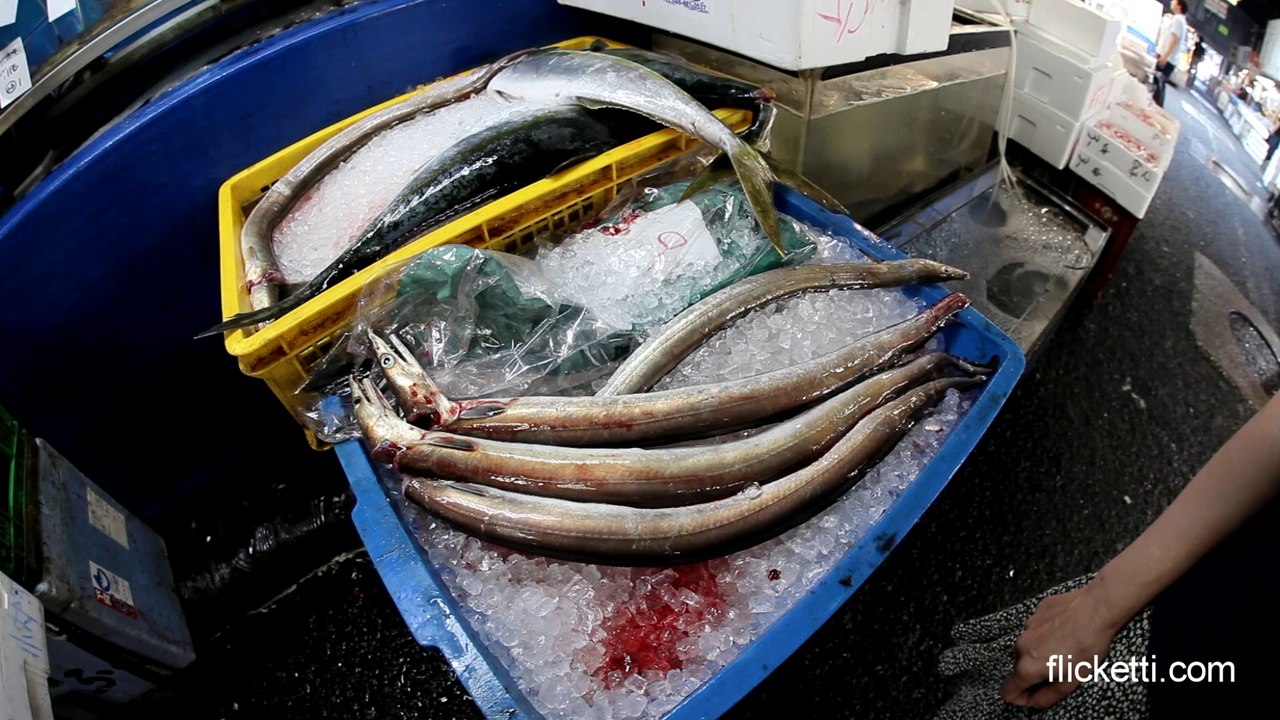 Tokyo fish market