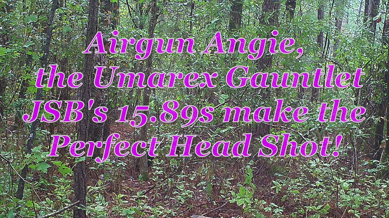 Airgun Angie, the Umarex Gauntlet & JSB’s 15.89s Make the Perfect Head Shot!