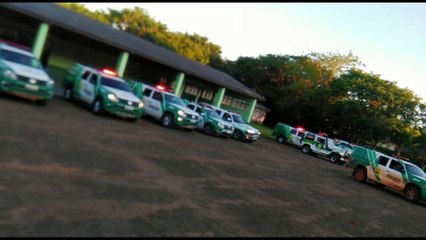 Mega Operação da Polícia Ambiental prende 14 e apreende 27 armas