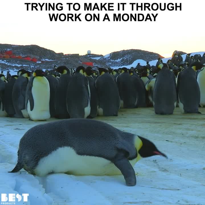 Work On A Monday