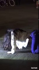 부여출장마사지 { 카톡QAZ8899 } [Ø7Ø⇔5180⇔1620]【20대에이스】부여출장안마 부여출장안마 출장안마코스 부여출장안마 부여출장마사지-황제 부여출장마사지- 부여콜걸.