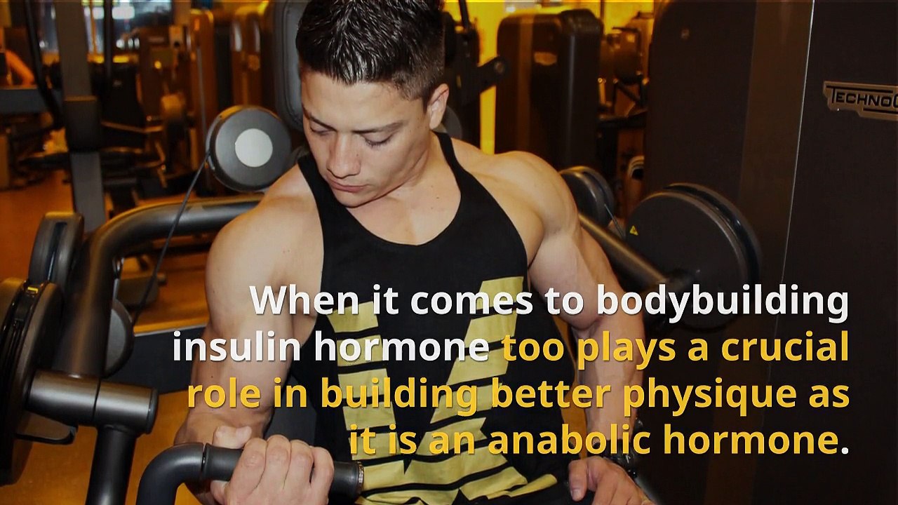 Do You know the Role of Insulin in Gaining Muscle Mass  Check Out Here