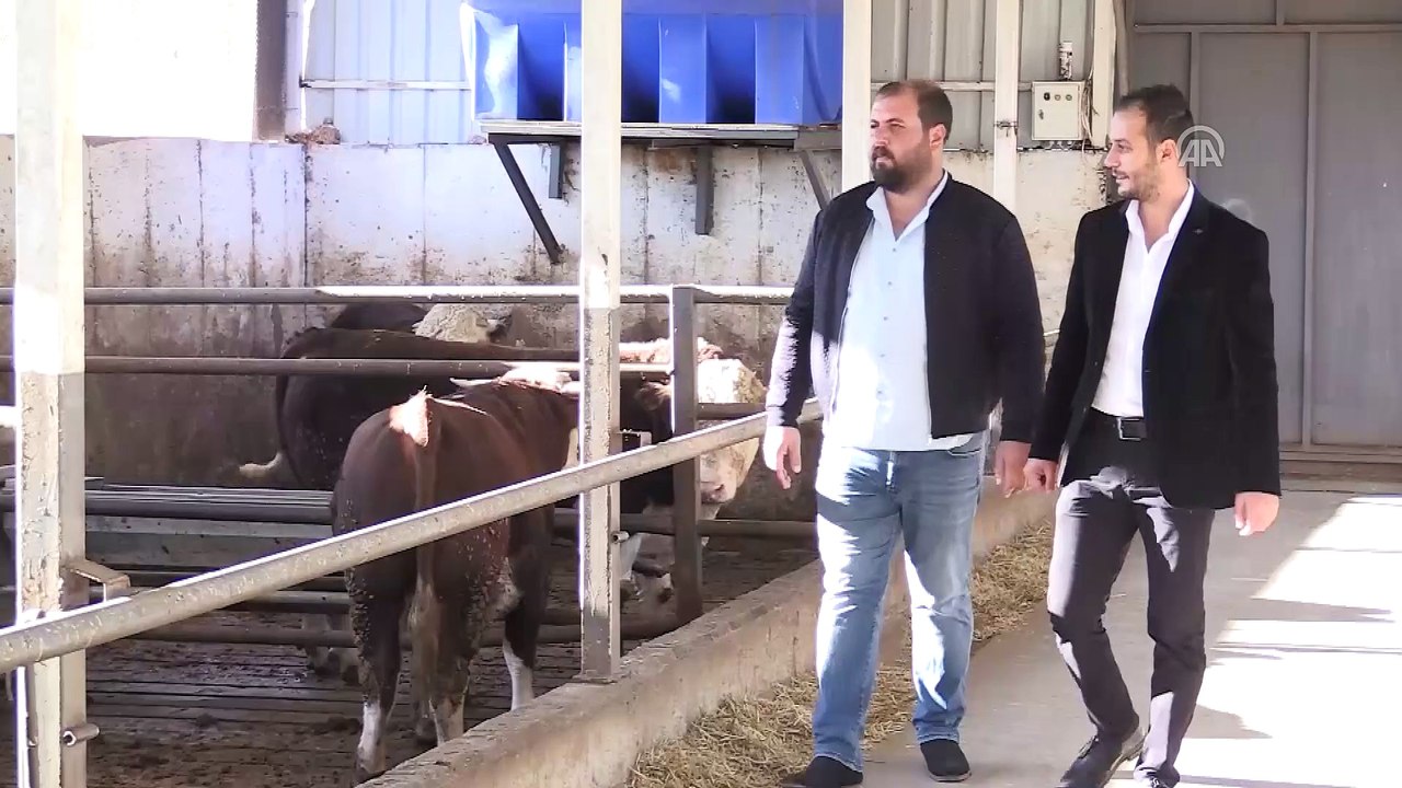 Girişimci kardeşler devlet desteğiyle çiftlik k...