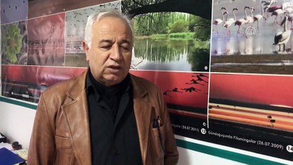 Son yağmurlar kuş cennetine hayat verdi - KIRŞEHİR