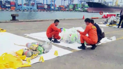 - Lion Havayolları'na Ait Uçağın Gövdesi Bulunmuş Olabilir- Lion Air Teknik İşler Direktörü Görevden Alındı