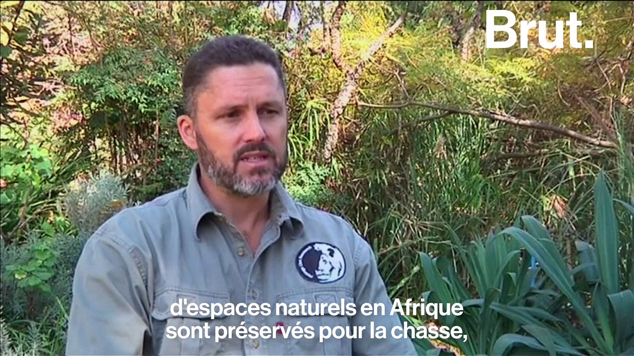 La chasse aux trophées sévit en Afrique