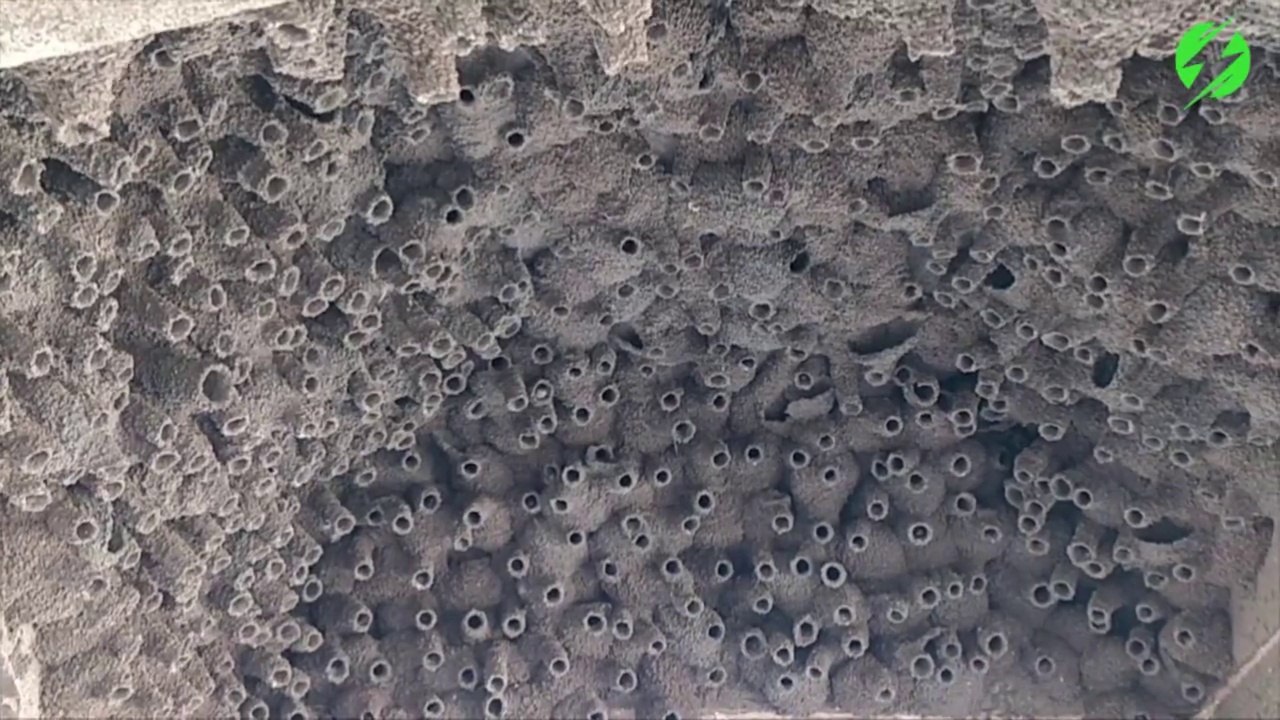 Ces nids d'oiseau magnifiques recouvrent le plafond de cette voûte