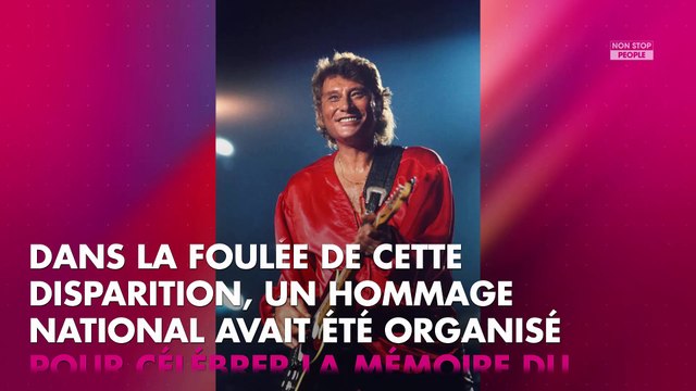 Johnny Hallyday et Charles Aznavour fraudeurs fiscaux ? Philippe Geluck les flingue