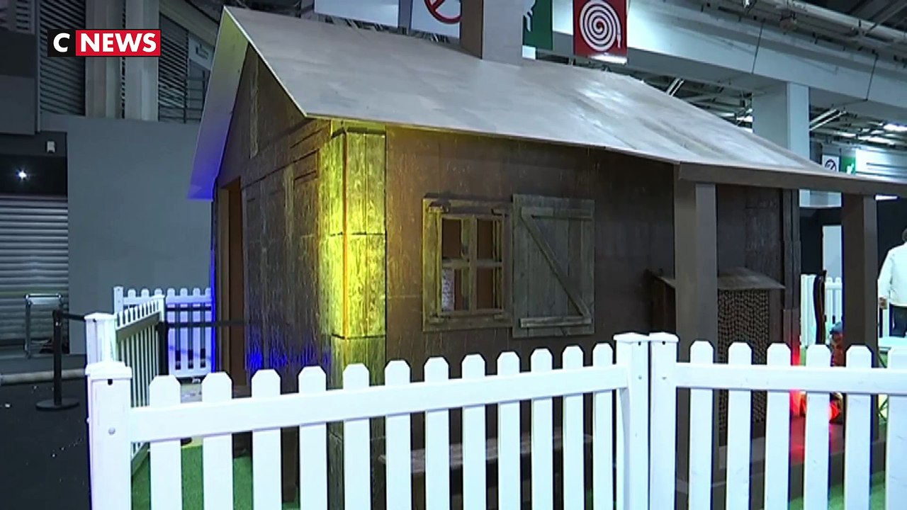 Le cacao sous toutes ses formes