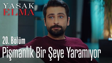 Pişmanlık bir şeye yaramıyor - Yasak Elma 20. Bölüm