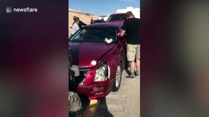 UFC star Stephan Bonnar pinned to the ground and arrested for DUI