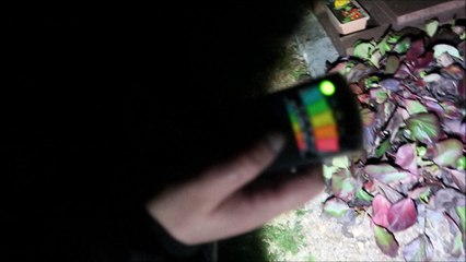 Chasse aux fantômes à Saint-Etienne-de-Coldre