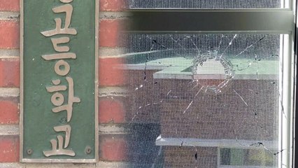 [단독] 학교로 '탕탕'...멧돼지 잡다가 학생 잡을 뻔 / YTN