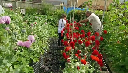 James Martin - Home Comforts S 3 » E 11 - The Kitchen Garden - Jan 18, 2016