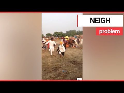 Horse loses control and tramples over crowd of spectators | SWNS TV
