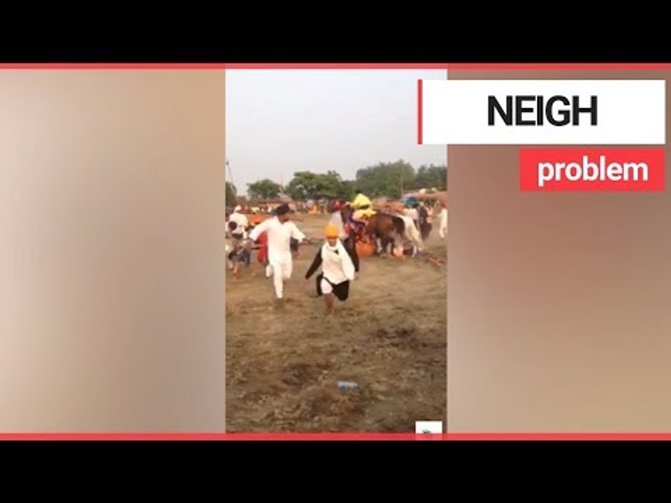 Horse loses control and tramples over crowd of spectators | SWNS TV