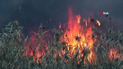Çomar yavrularını yanmaktan canı pahasına kurtardı
