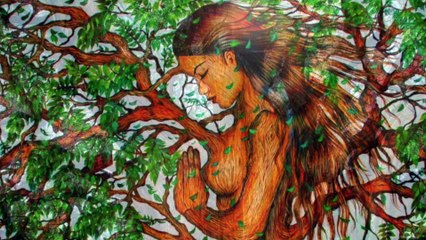 El ÁRBOL DE TULE es un ahuehuete el mas grande del mundo en Oaxaca México