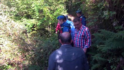 Derede bitkin halde bulunan ayı kurtarıldı - BARTIN