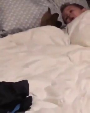 Ce gamin s'amuse comme un petit fou avec son chiot et c'est adorable