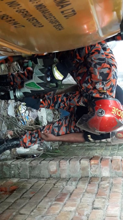 Dog Rescued From Behind Brick Wall