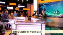 Citrouilles et potirons - L'Info du vrai du 31/10  - CANAL+