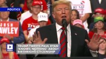 Trump Tweets Paul Ryan 'Knows Nothing' About Birthright Citizenship